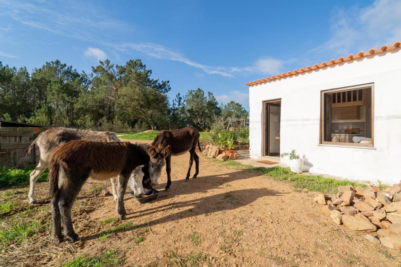 Casa Da Paz Lejlighed Aljezur Eksteriør billede